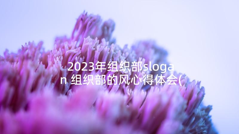 2023年组织部slogan 组织部的风心得体会(汇总6篇)
