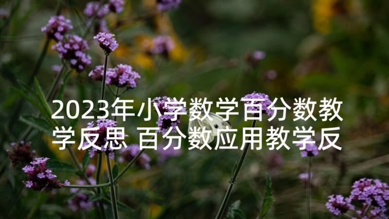 2023年小学数学百分数教学反思 百分数应用教学反思(模板10篇)