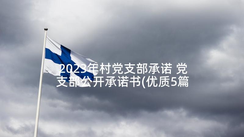 2023年村党支部承诺 党支部公开承诺书(优质5篇)