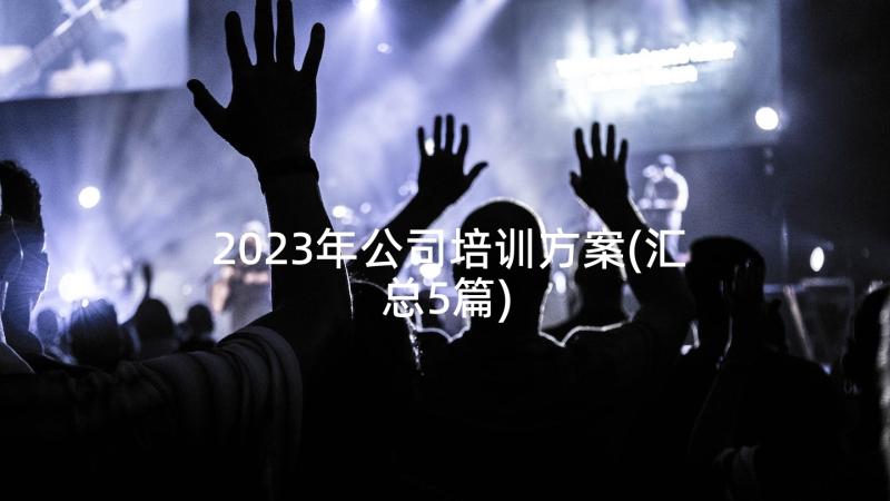 2023年公司培训方案(汇总5篇)