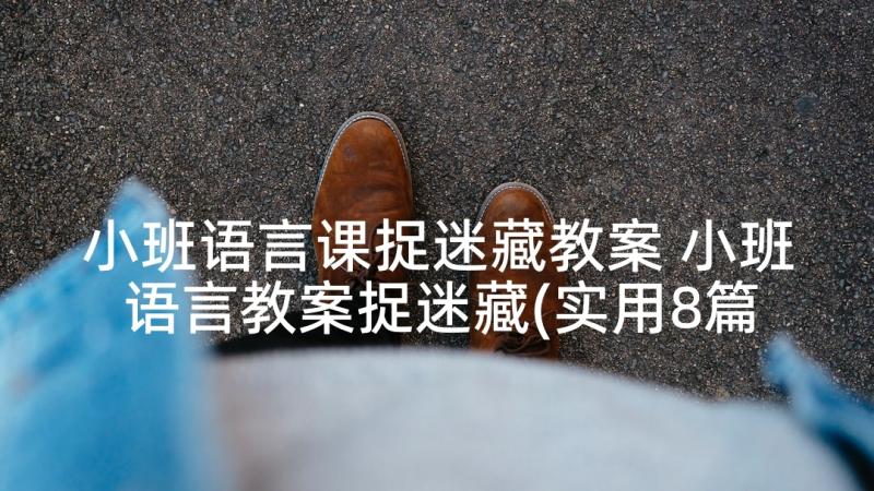 小班语言课捉迷藏教案 小班语言教案捉迷藏(实用8篇)