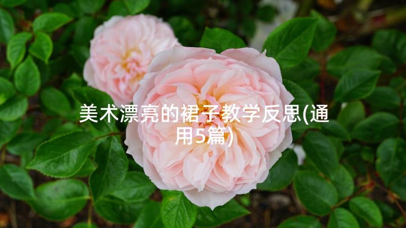 美术漂亮的裙子教学反思(通用5篇)