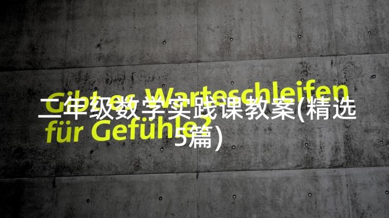 二年级数学实践课教案(精选5篇)