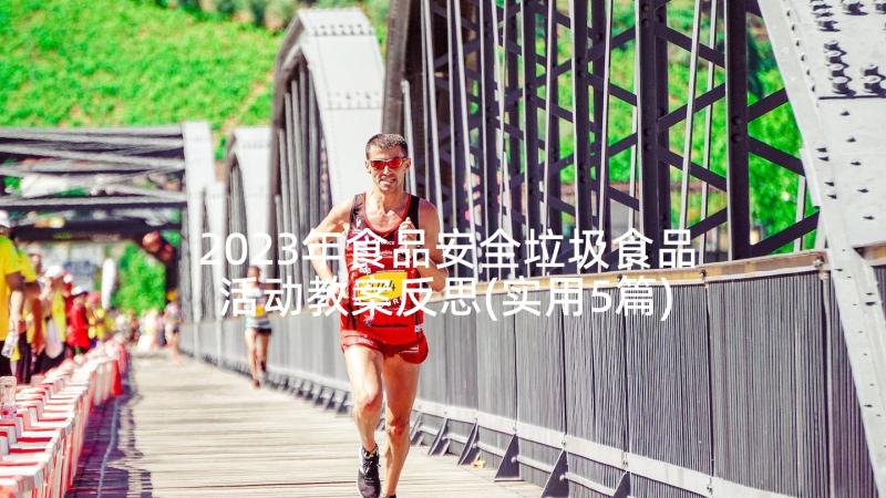 2023年食品安全垃圾食品活动教案反思(实用5篇)