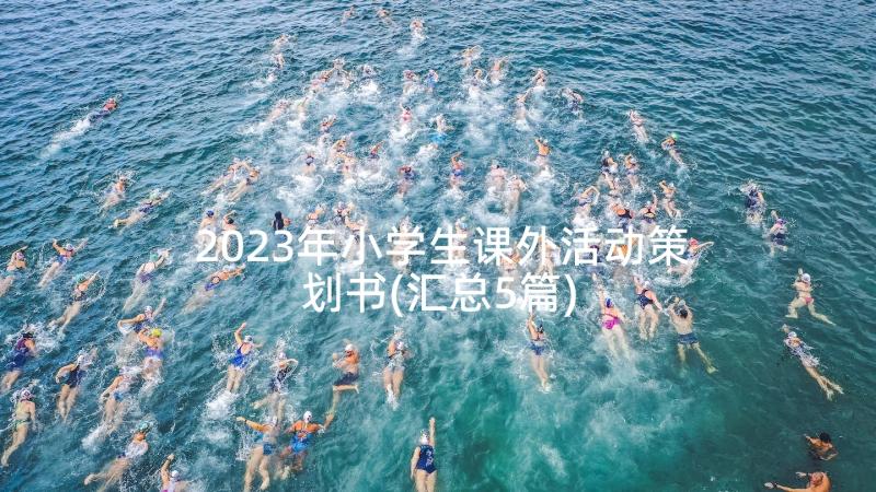 2023年小学生课外活动策划书(汇总5篇)