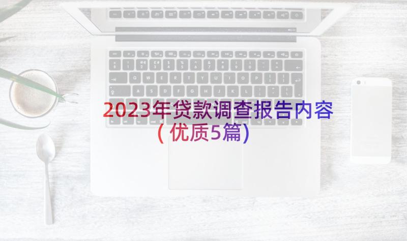 2023年贷款调查报告内容(优质5篇)