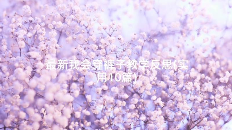 最新我会穿裤子教学反思(实用10篇)