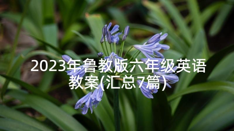 2023年鲁教版六年级英语教案(汇总7篇)