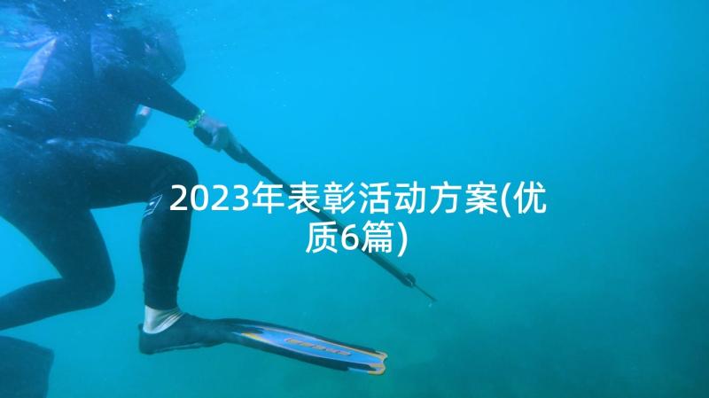 2023年表彰活动方案(优质6篇)