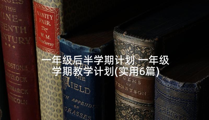 一年级后半学期计划 一年级学期教学计划(实用6篇)