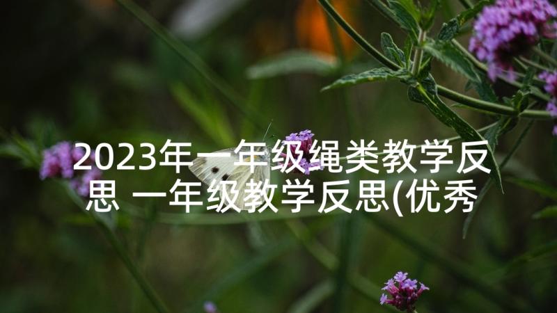 2023年一年级绳类教学反思 一年级教学反思(优秀9篇)