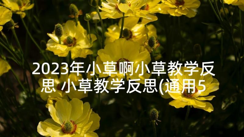 2023年小草啊小草教学反思 小草教学反思(通用5篇)