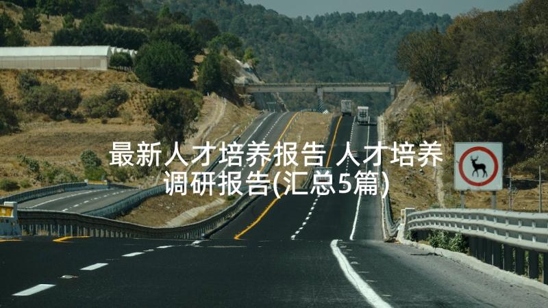 最新人才培养报告 人才培养调研报告(汇总5篇)