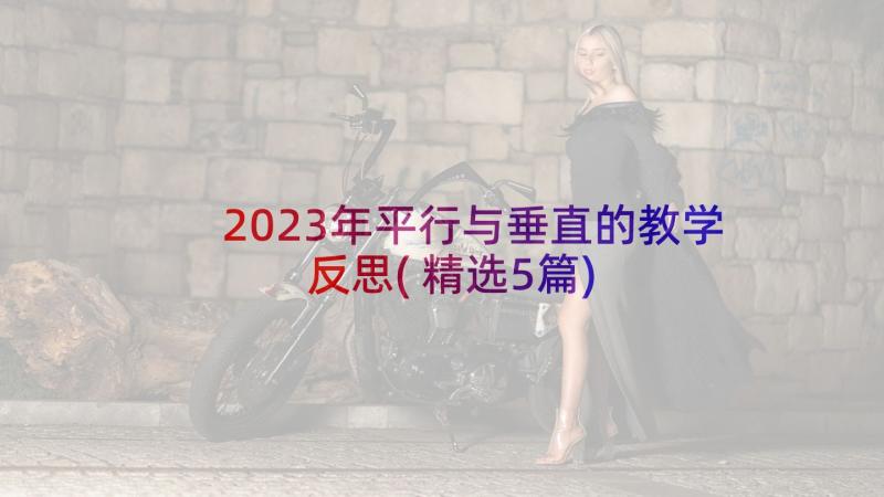 2023年平行与垂直的教学反思(精选5篇)