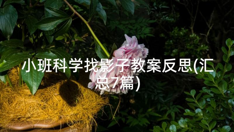 小班科学找影子教案反思(汇总7篇)