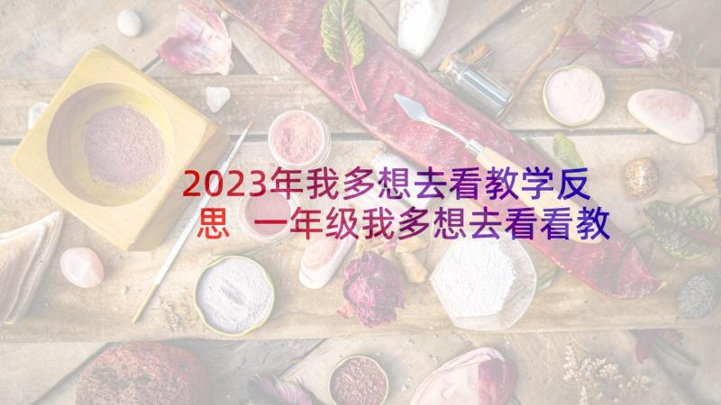 2023年我多想去看教学反思 一年级我多想去看看教学反思(大全5篇)