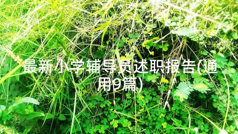 最新小学辅导员述职报告(通用9篇)