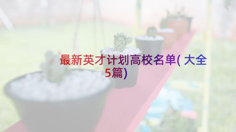 最新英才计划高校名单(大全5篇)