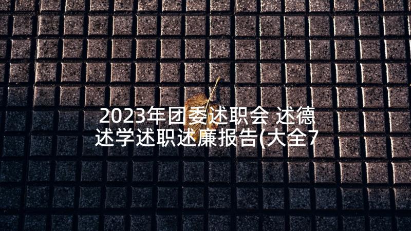 2023年团委述职会 述德述学述职述廉报告(大全7篇)