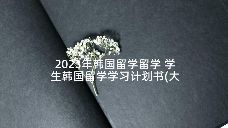 2023年韩国留学留学 学生韩国留学学习计划书(大全5篇)