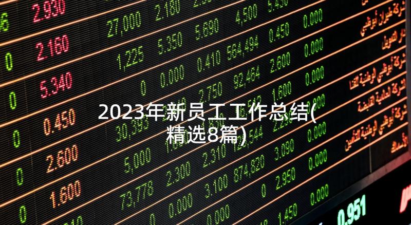 2023年新员工工作总结(精选8篇)