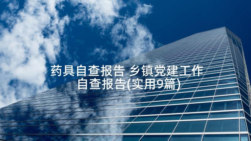 药具自查报告 乡镇党建工作自查报告(实用9篇)