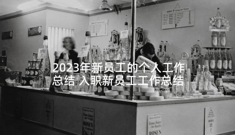 2023年新员工的个人工作总结 入职新员工工作总结(通用9篇)