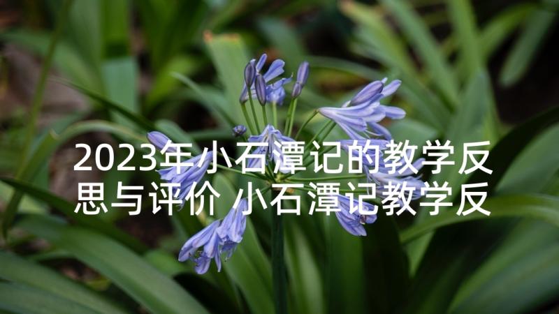 2023年小石潭记的教学反思与评价 小石潭记教学反思(汇总6篇)