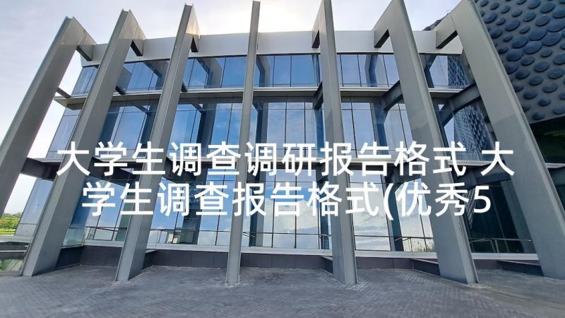 大学生调查调研报告格式 大学生调查报告格式(优秀5篇)