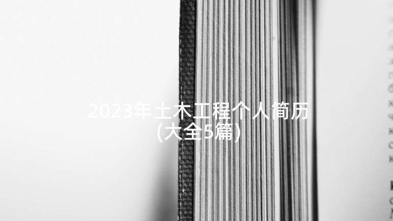 2023年土木工程个人简历(大全5篇)