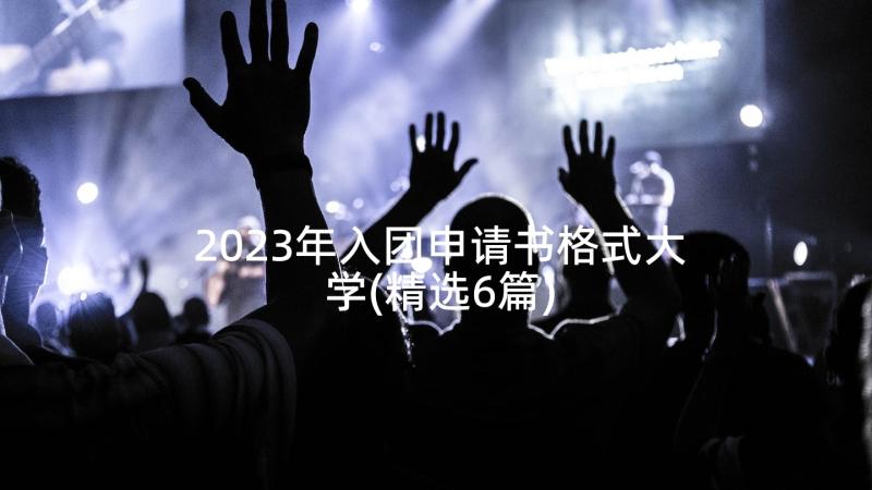 2023年入团申请书格式大学(精选6篇)