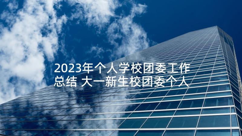 2023年个人学校团委工作总结 大一新生校团委个人工作总结(模板5篇)