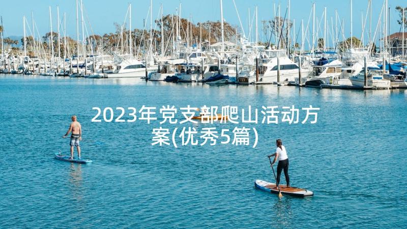 2023年党支部爬山活动方案(优秀5篇)