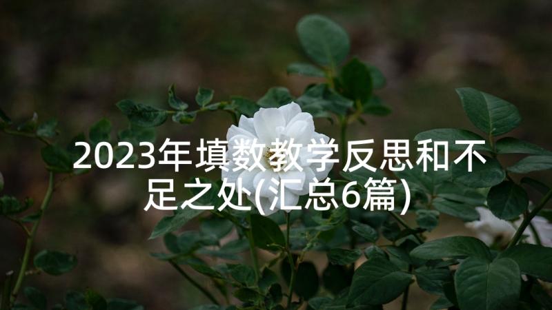 2023年填数教学反思和不足之处(汇总6篇)