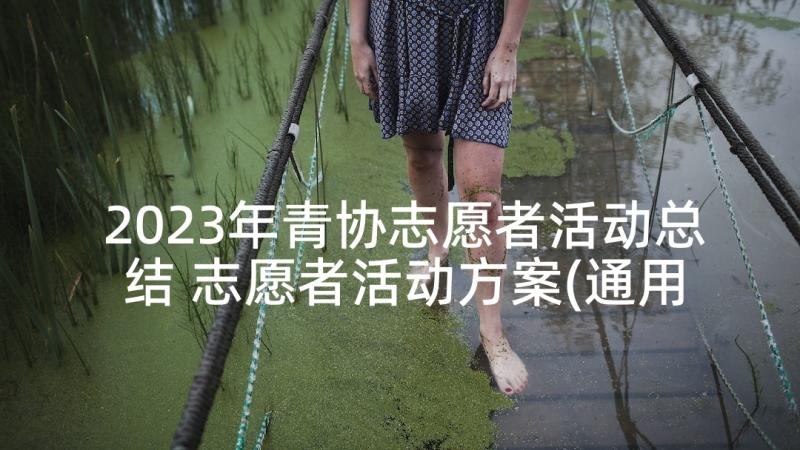 2023年青协志愿者活动总结 志愿者活动方案(通用5篇)