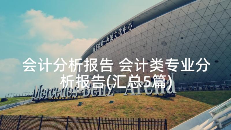 会计分析报告 会计类专业分析报告(汇总5篇)