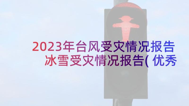 2023年台风受灾情况报告 冰雪受灾情况报告(优秀5篇)