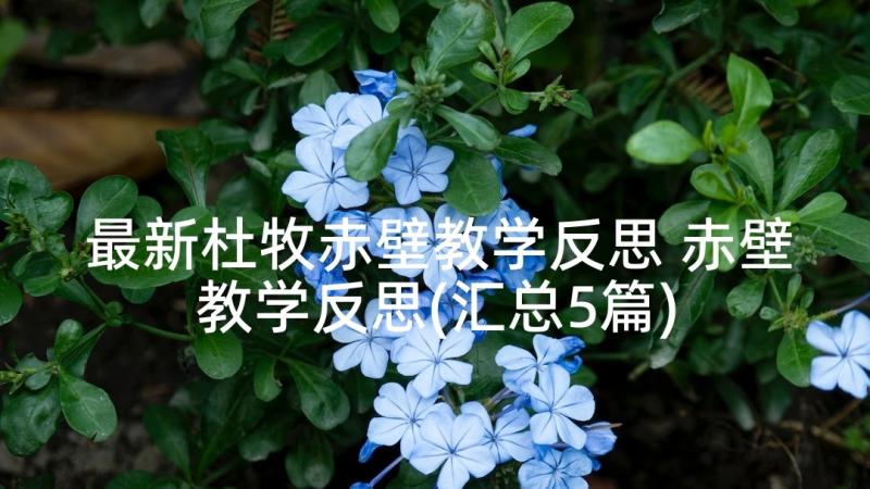 最新杜牧赤壁教学反思 赤壁教学反思(汇总5篇)