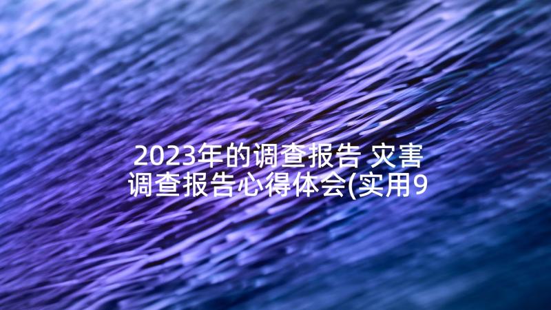 2023年的调查报告 灾害调查报告心得体会(实用9篇)