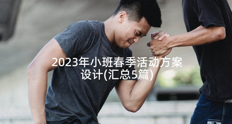 2023年小班春季活动方案设计(汇总5篇)