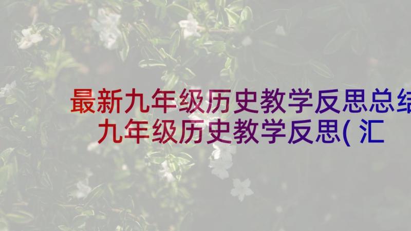 最新九年级历史教学反思总结 九年级历史教学反思(汇总5篇)