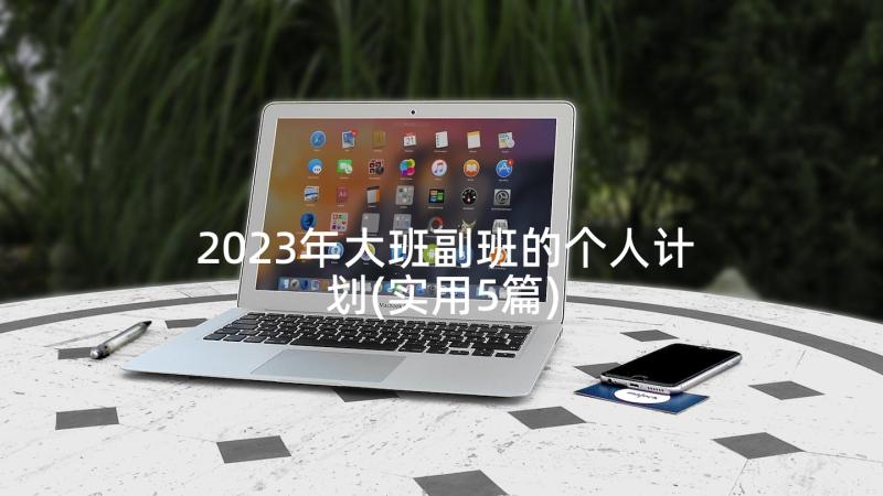 2023年大班副班的个人计划(实用5篇)