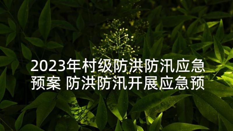 2023年村级防洪防汛应急预案 防洪防汛开展应急预案及措施(模板5篇)