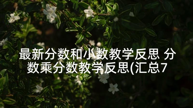 最新分数和小数教学反思 分数乘分数教学反思(汇总7篇)