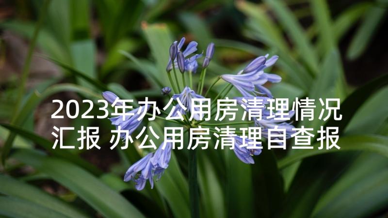 2023年办公用房清理情况汇报 办公用房清理自查报告(汇总5篇)