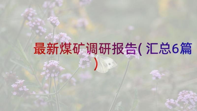 最新煤矿调研报告(汇总6篇)