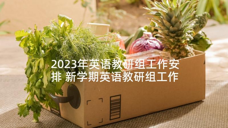 2023年英语教研组工作安排 新学期英语教研组工作计划(大全8篇)