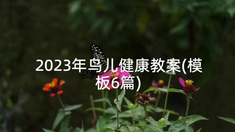 2023年鸟儿健康教案(模板6篇)