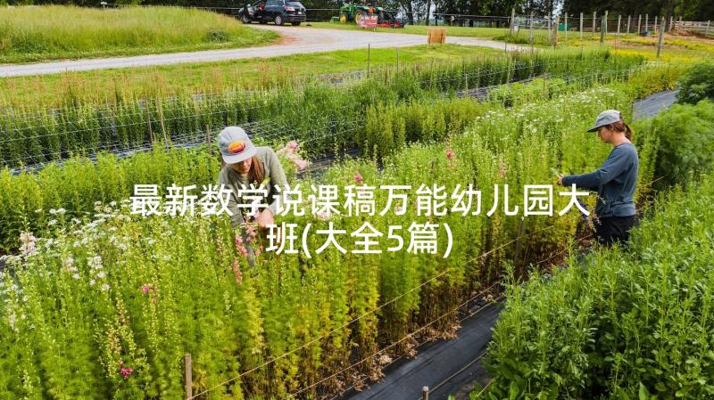 最新数学说课稿万能幼儿园大班(大全5篇)