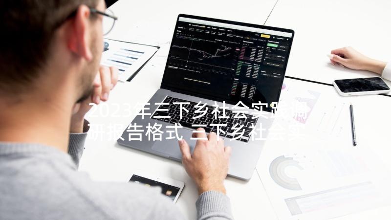 2023年三下乡社会实践调研报告格式 三下乡社会实践报告(优质7篇)